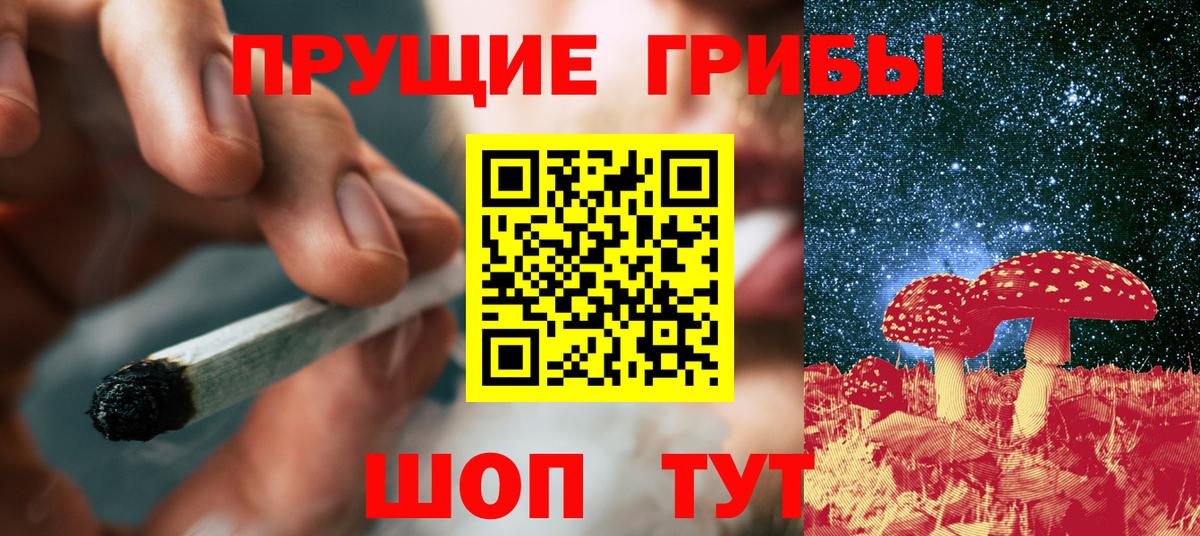 Псилоцибиновые грибы мицелий Великий Устюг
