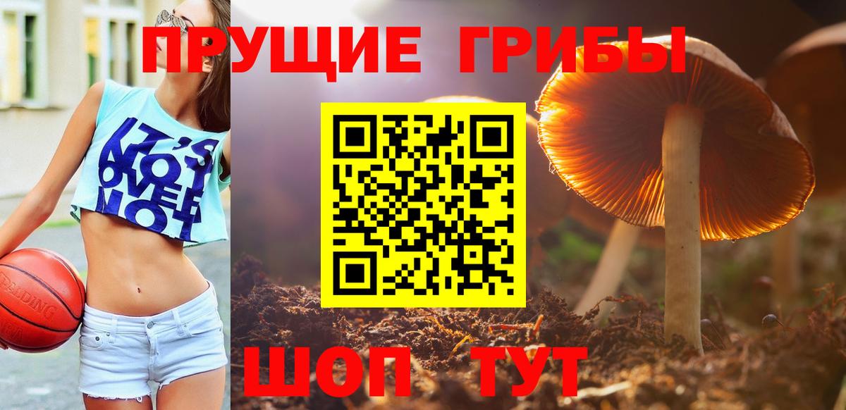Галлюциногенные грибы прущие грибы  Вход с VPN  Великий Устюг 